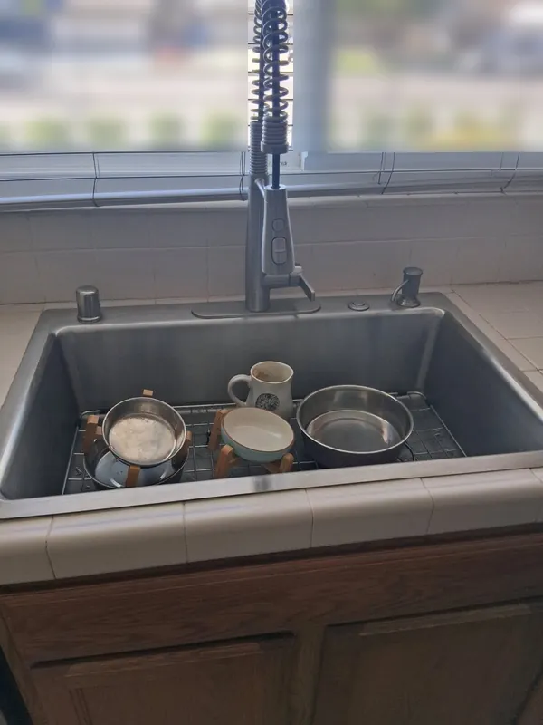 Kitchen sink holding pet bowls and a mug, before a deep cleaning in the Woodland Hills area